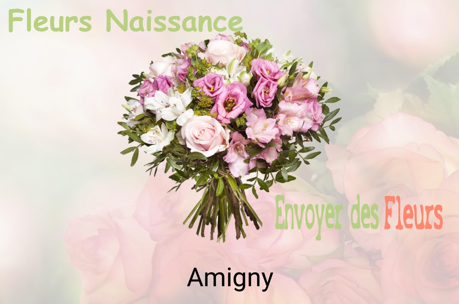 Bouquet de fleurs de naissance livré à Amigny