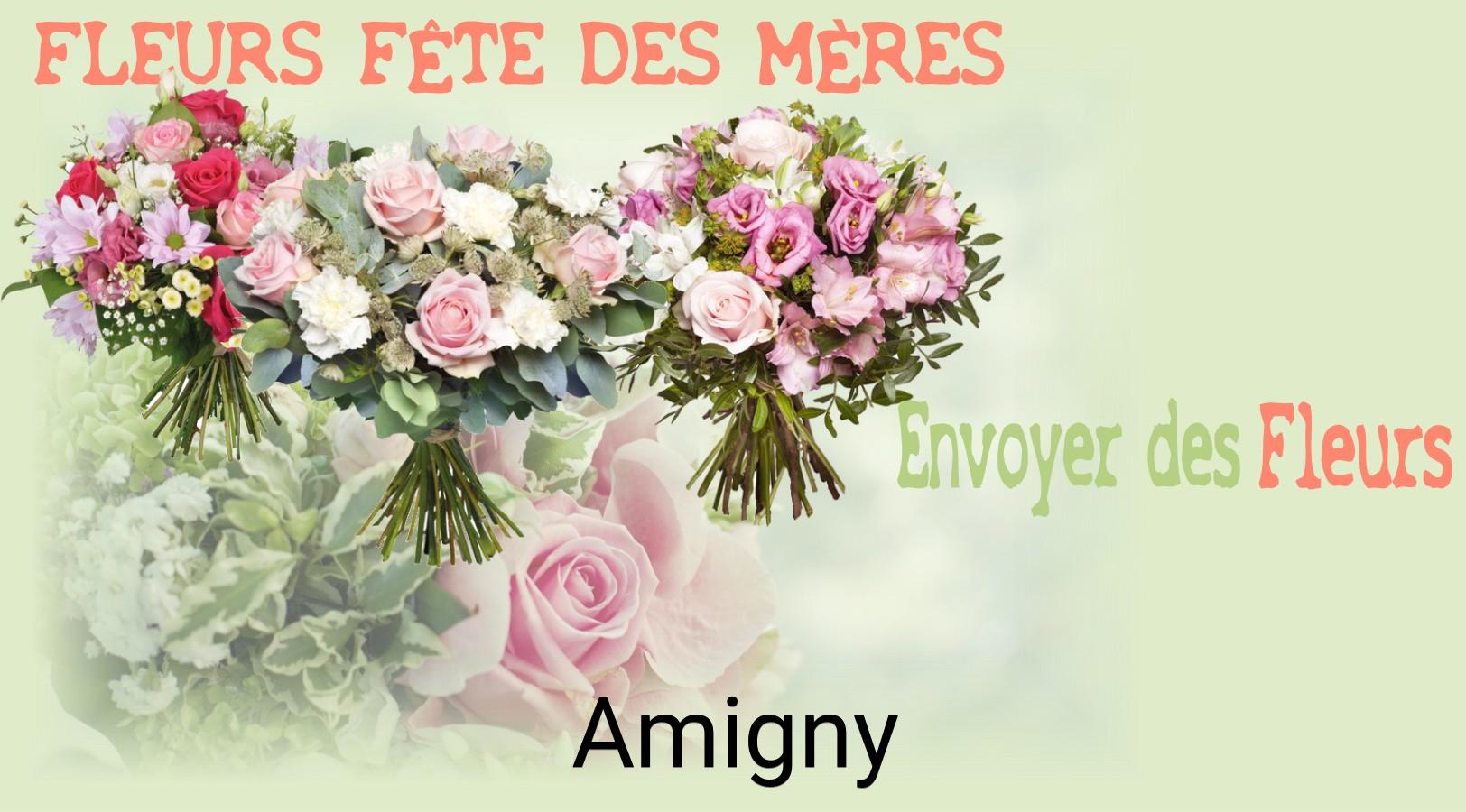 Bouquet de Fête des Mères livré à Amigny